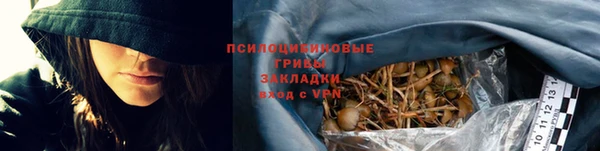 гидропоника Алексеевка