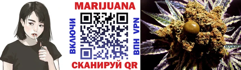 Каннабис индика  Краснообск 